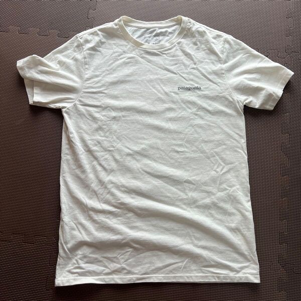 Patagonia Tシャツ M