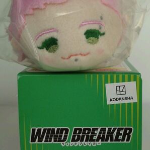 WIND BREAKER もちもちマスコット 桐生三輝