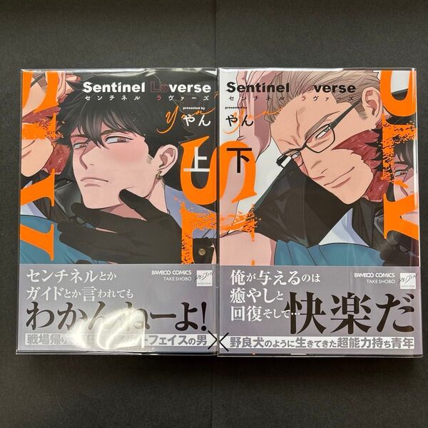 Sentinel Loverse 上下 やん