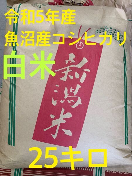 【ラスト1】魚沼産コシヒカリ 白米 令和5年産 25キロ