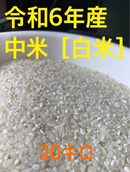 令和6年産 中米(白米) 20キロ 国内産100%