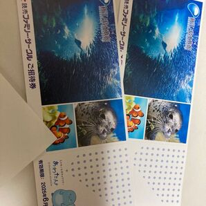 新江ノ島水族館 入場券 招待券 2枚