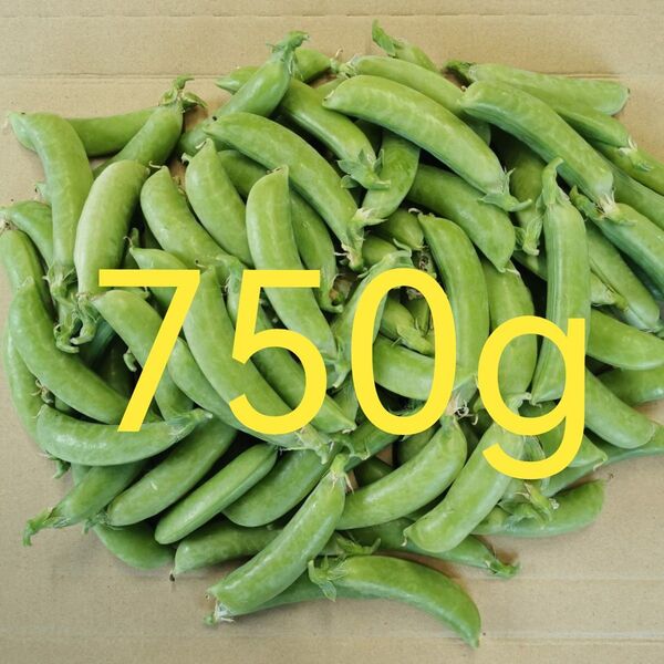 採れたて スナップエンドウ 750g