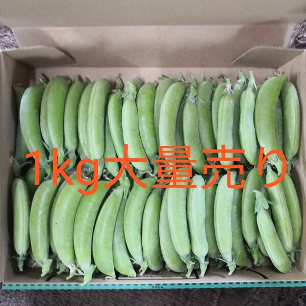 採れたてスナップエンドウ 1箱