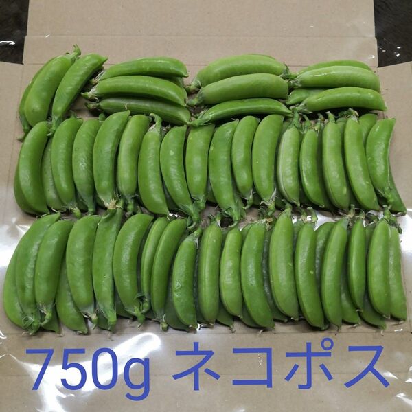 スナップえんどう 750g