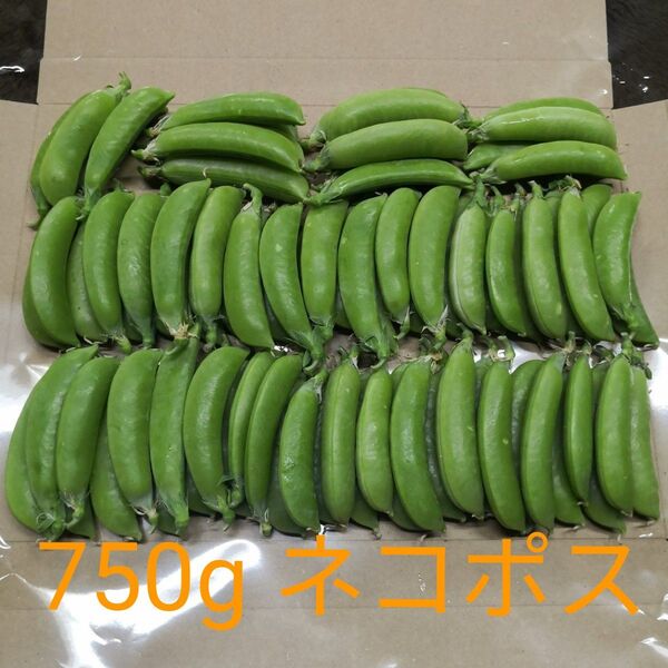 スナップエンドウ 750g