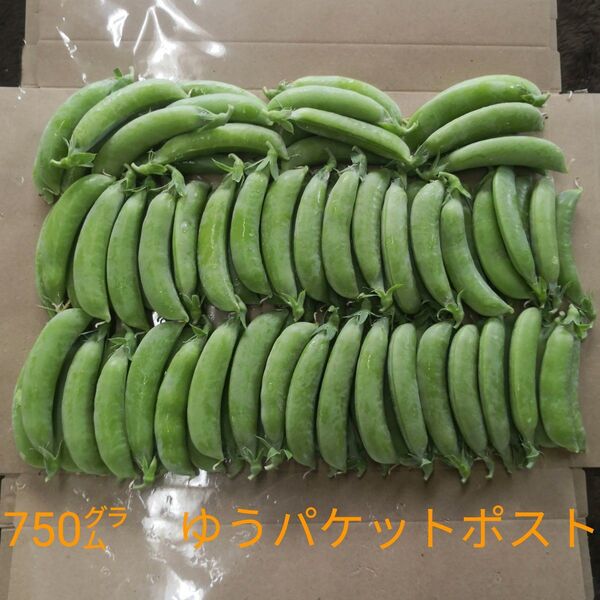 スナップえんどう たっぷり