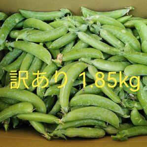 訳あり スナップエンドウ 1.85kg