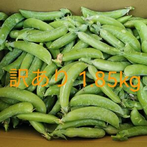 訳あり スナップエンドウ 1.85kg