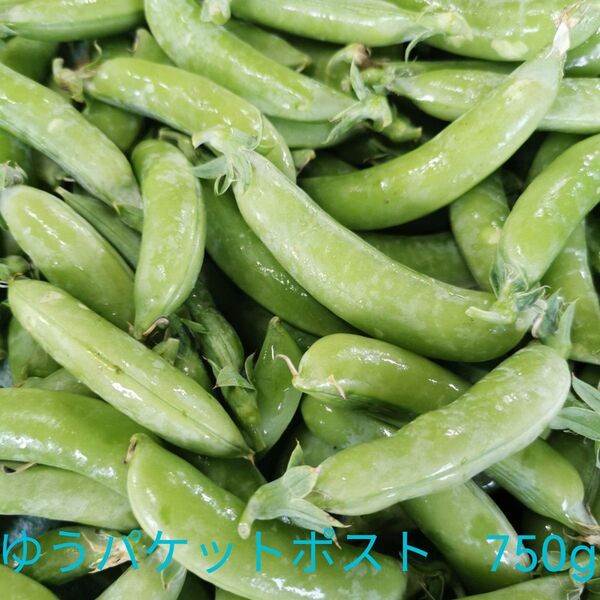 新鮮 スナップエンドウ 750g