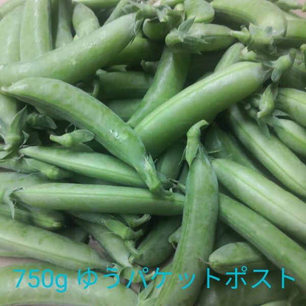 採れたてスナップエンドウ 750g