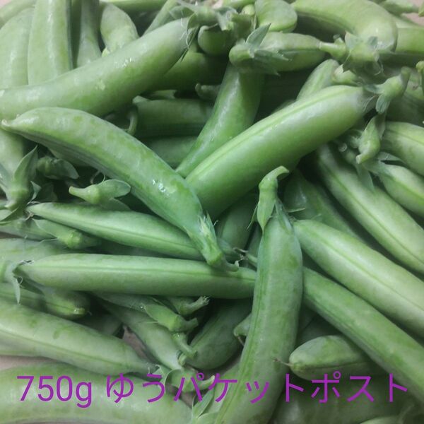 スナップエンドウ 750g たっぷり