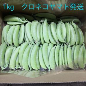 採れたて新鮮 スナップえんどう 宅急便コンパクト