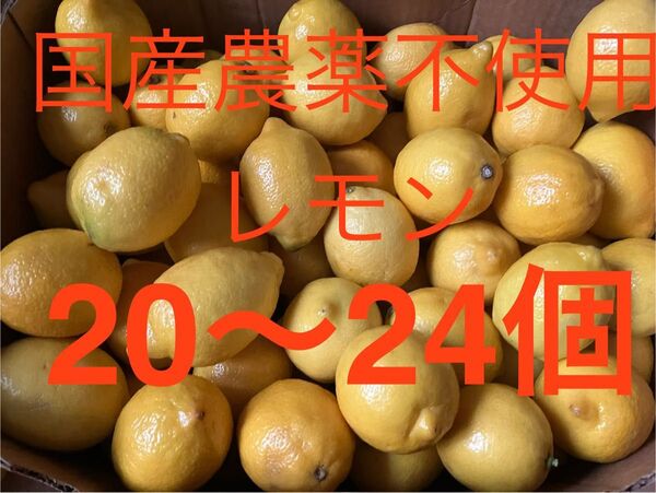 35国産 農薬不使用瀬戸内レモン 20〜24個