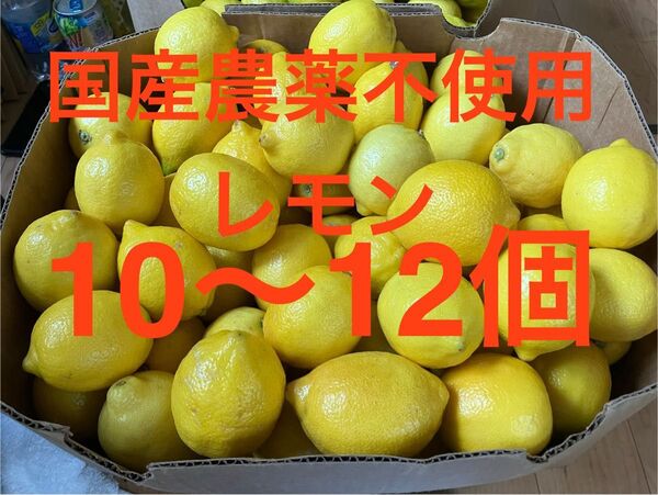 国産 農薬不使用瀬戸内レモン 10〜12個