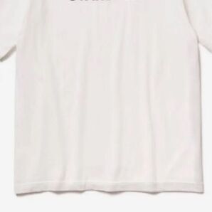 ノースフェイス スタンダードTシャツ【Lサイズ】NT32230R直営店限定/白