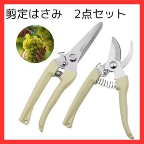 剪定はさみ ばさみ 鋏 ハサミ ガーデニング 枝切 葉っぱ 園芸 庭 盆栽