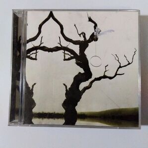 ★石井竜也★T.I GRAND PROJECT CD+DVD各1枚づつ tatuya ishii