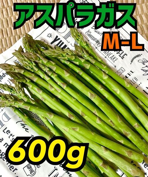 山形県産 アスパラガスM〜Lサイズたっぷり600g!!