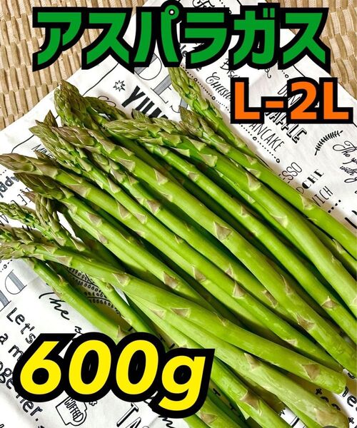 山形県産 アスパラガスL〜2Lサイズたっぷり600g!!