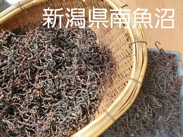 乾燥ぜんまい 山菜 薇 新潟県 南魚沼