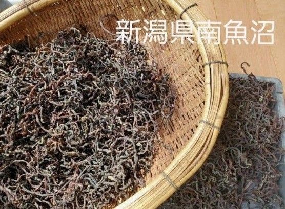 乾燥ぜんまい 山菜 薇 新潟県 南魚沼
