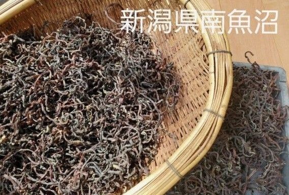 乾燥ぜんまい 山菜 薇 新潟県 南魚沼