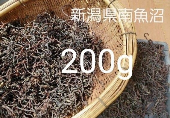 乾燥ぜんまい 山菜 薇 新潟県 南魚沼