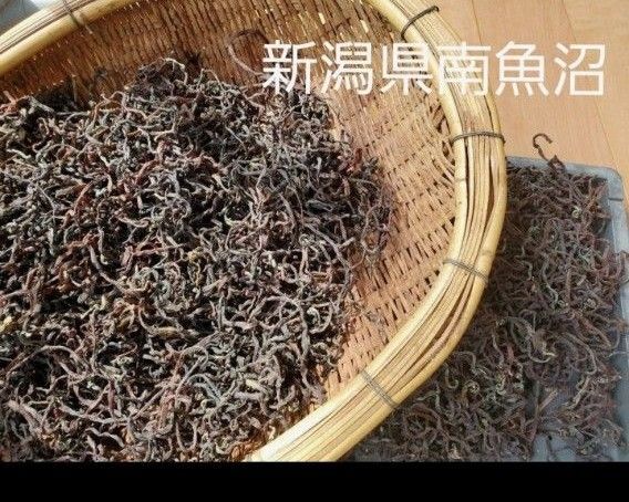 乾燥ぜんまい 山菜 ゼンマイ 新潟県