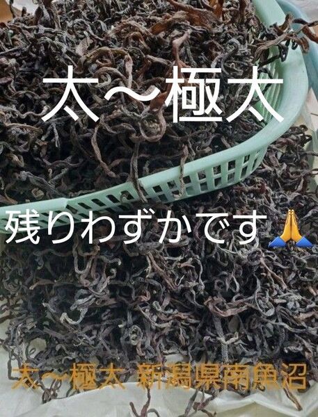 乾燥ぜんまい ゼンマイ 山菜 太 極太 新潟県 南魚沼