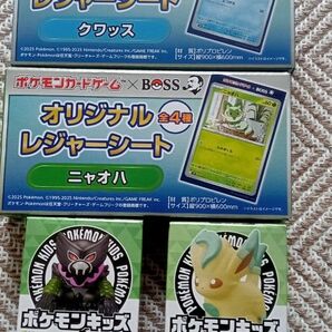 ポケモン レジャーシート ポケモンキッズ ザルード等4点セット