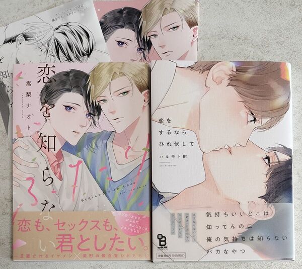 恋を知らないふたり 恋をするならひれ伏して 嵩梨ナオト ハルモト紺 コミコミ 小冊子 リーフレット