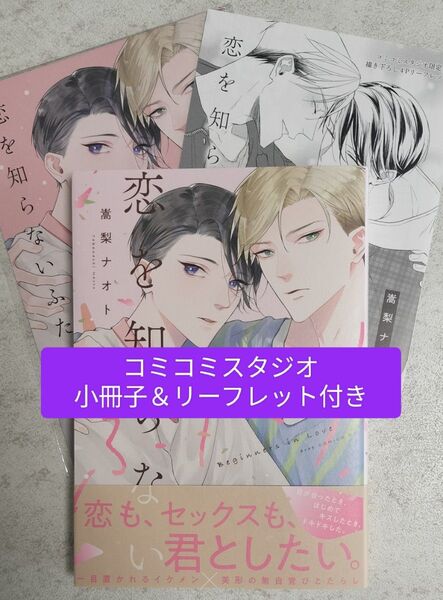 恋を知らないふたり 嵩梨ナオト コミコミ 特典 小冊子 リーフレット