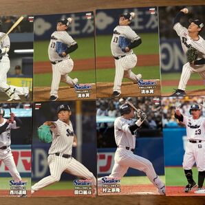 プロ野球チップス2024 東京ヤクルトスワローズ トレカ