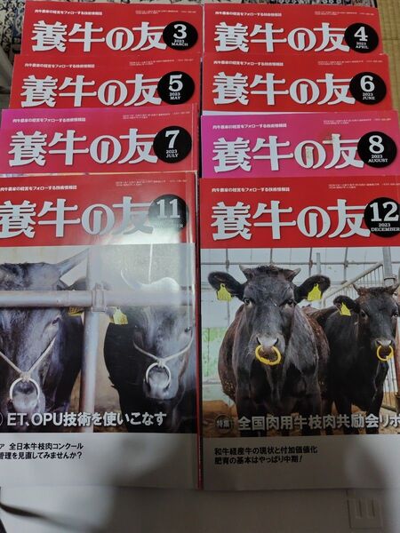 養牛の友 2023年 3,4,5,6,7,8,11,12月号8冊セット 畜産 農業 教科書 和牛 肉牛 繁殖 乳牛 肥育 黒毛雑誌