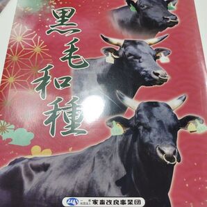 2022年 種雄牛パンフレット 畜産 農業 教科書 和牛 肉牛 繁殖 乳牛 肥育牛 黒毛 雑誌