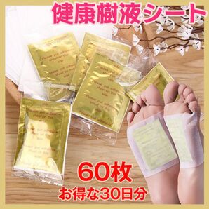 足裏シート 足裏樹液 むくみ 漢方 植物成分 ストレスケア フットケア 60枚