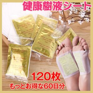 足裏シート むくみ 漢方 植物成分 ストレスケア フットケア 120枚 足裏樹液