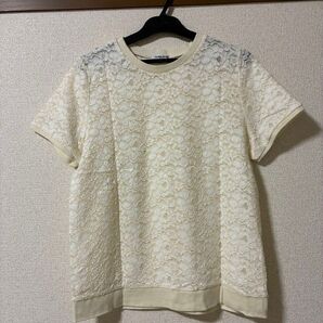 501 透け感有り 半袖 Tシャツ レース