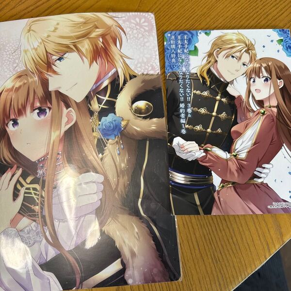 王太子妃になんてなりたくない!! アニメイト特典