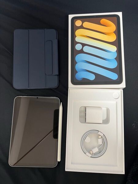 Apple iPad mini 第6世代 256GB スターライト Touch ID使用不可 Appleペンシル付 極美品