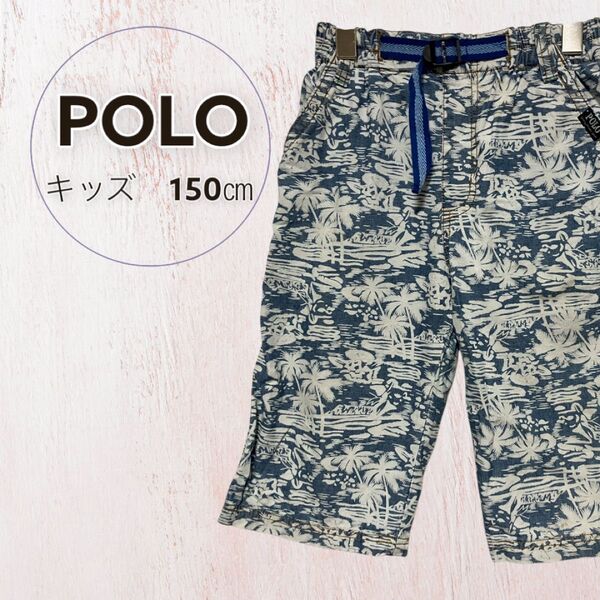 POLO キッズ ハーフパンツ ヤシの木柄 150cm 綿