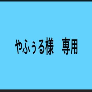 やふぅる様専用 んぽちゃむ きみまろ ローソン ランダム ステッカー L判