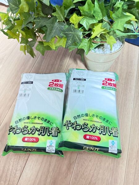 【新品未使用】グンゼ 天引きブリーフ(前開き) GUNZE