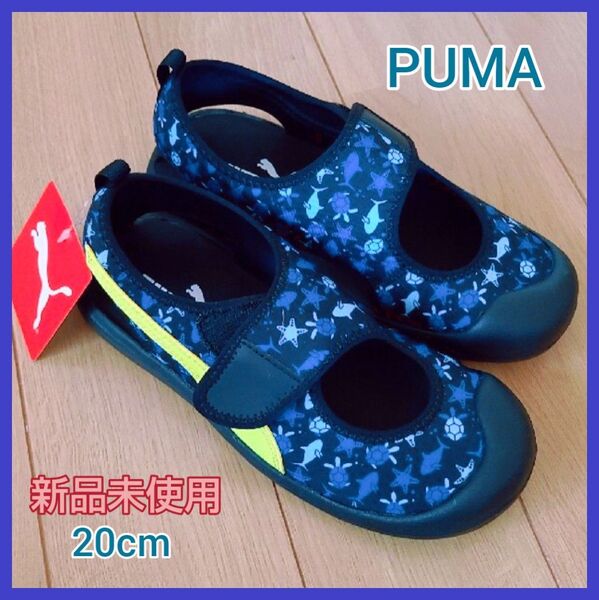 PUMA サンダル 20cm 新品 未使用 水族館 キッズ 定価4950円の品