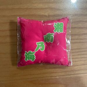 大相撲 ガチャ 座布団キーホルダー 湘南乃海