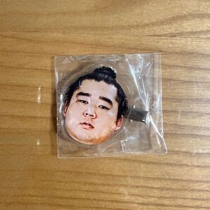 大相撲 フェイスヘアピン 湘南乃海