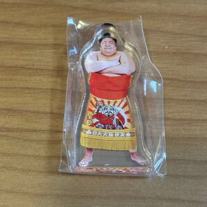大相撲 ガチャ アクスタ 剣翔
