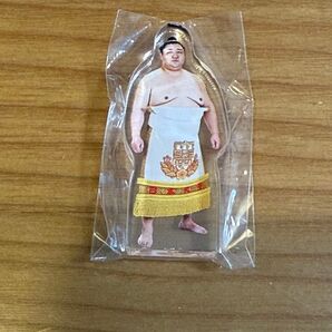 大相撲 ガチャ アクスタ 紫雷