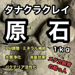 【GMめだか】タナクラクレイ 原石 1kg → メダカ バクテリア 水質浄化 安定 濾過 濾材 メダカ らんちゅう 金魚 錦鯉